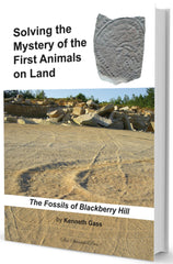 The fossils of blackberry hill