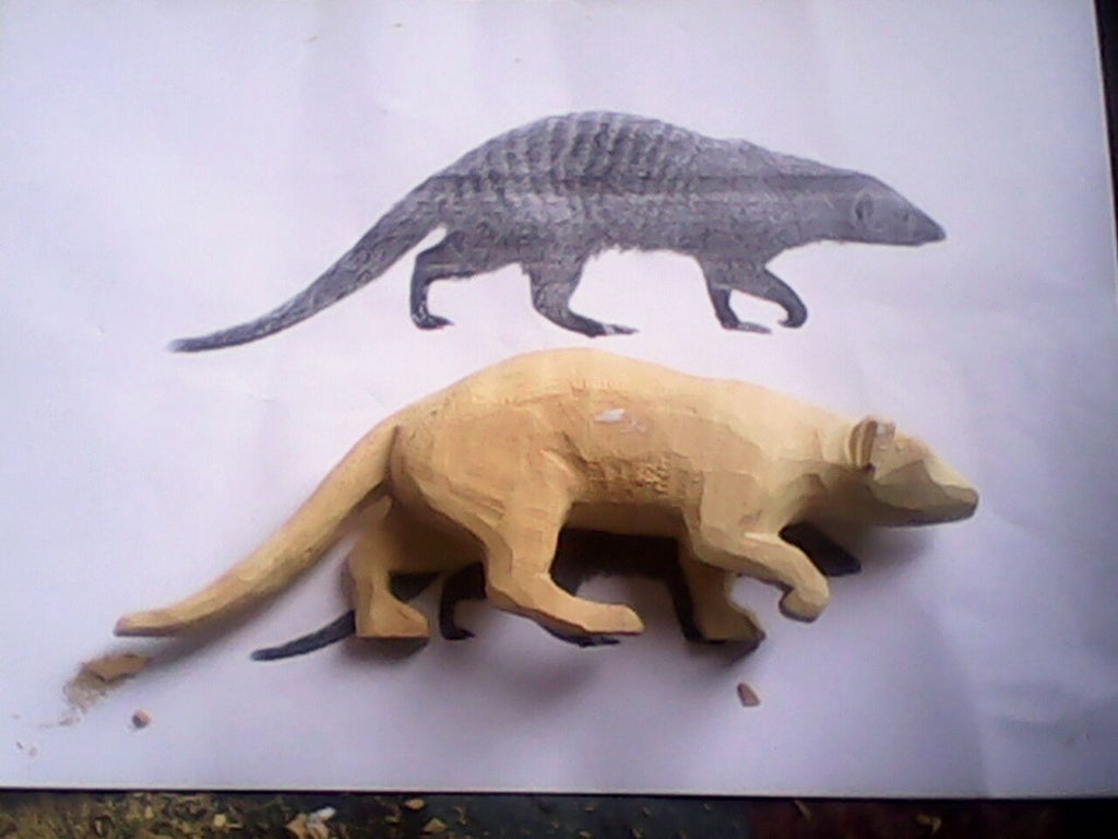 Rough model of mongoose