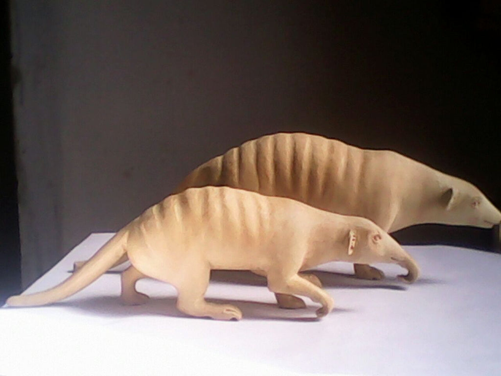 Final model of mongoose 