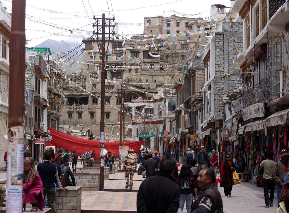 Leh Town - Ladakh Road Trip - Woodgeek Travels 