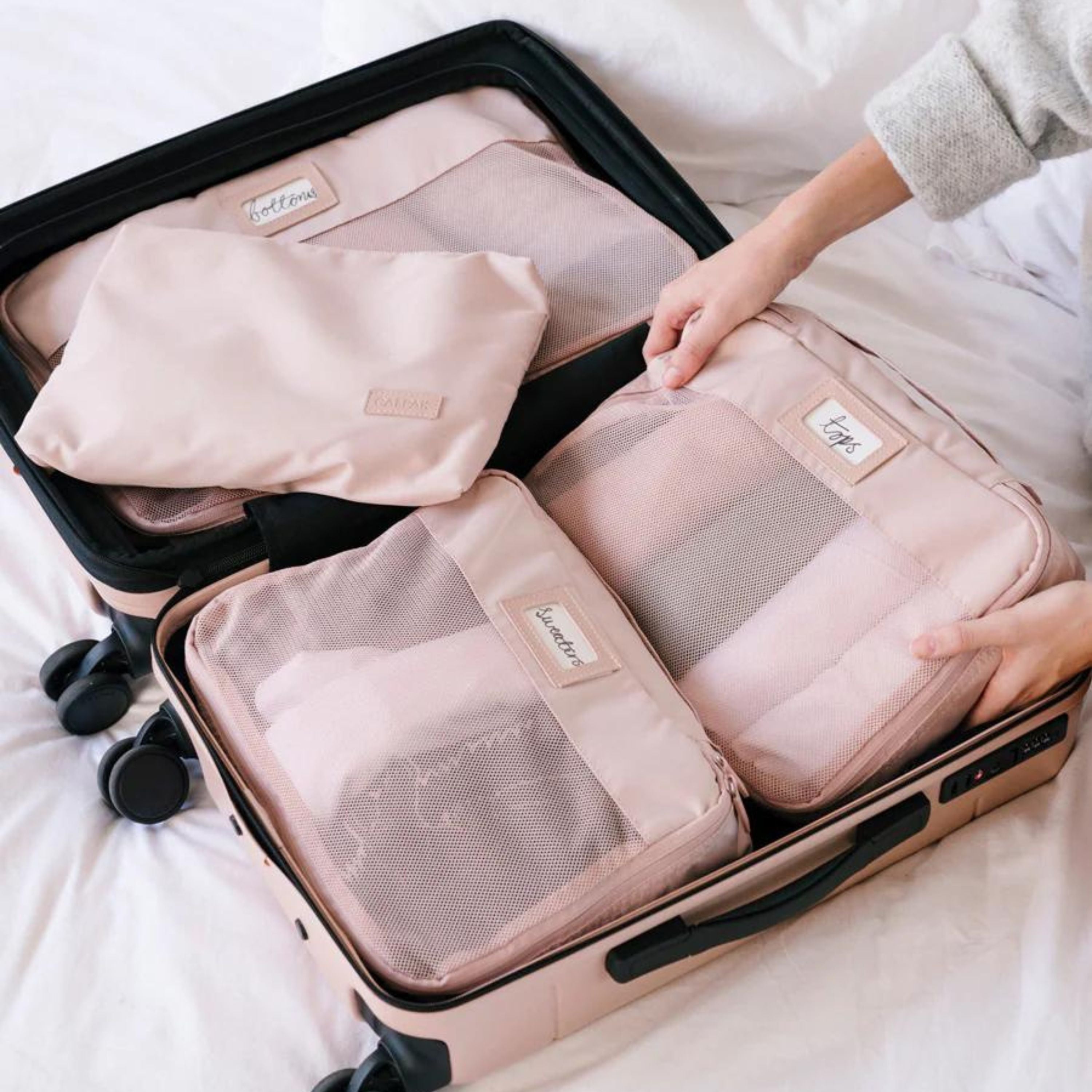 calpak luggage packing cubes