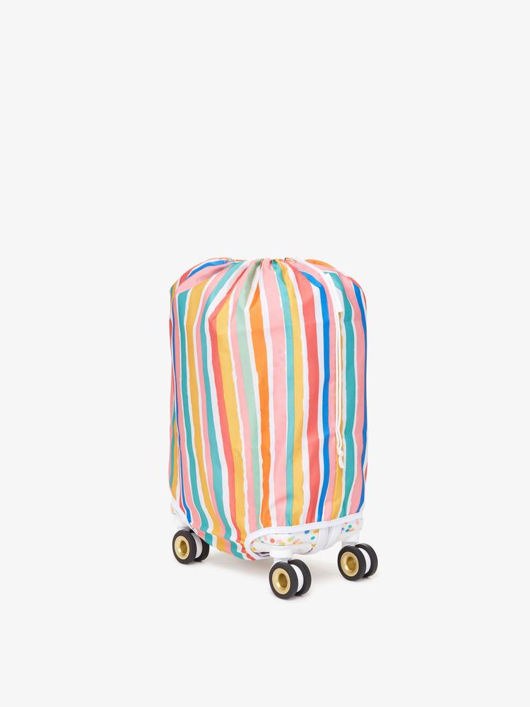 calpak oh joy luggage