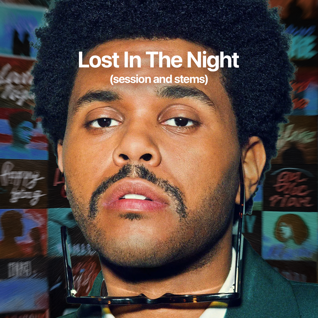 Lost In The Night FLP
