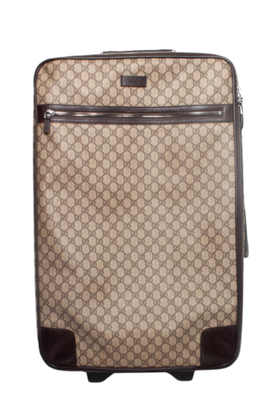 Pre-Owned Brown Canvas Gucci Travel Bag