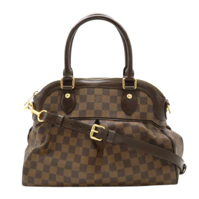 Brown Canvas Louis Vuitton Trevi