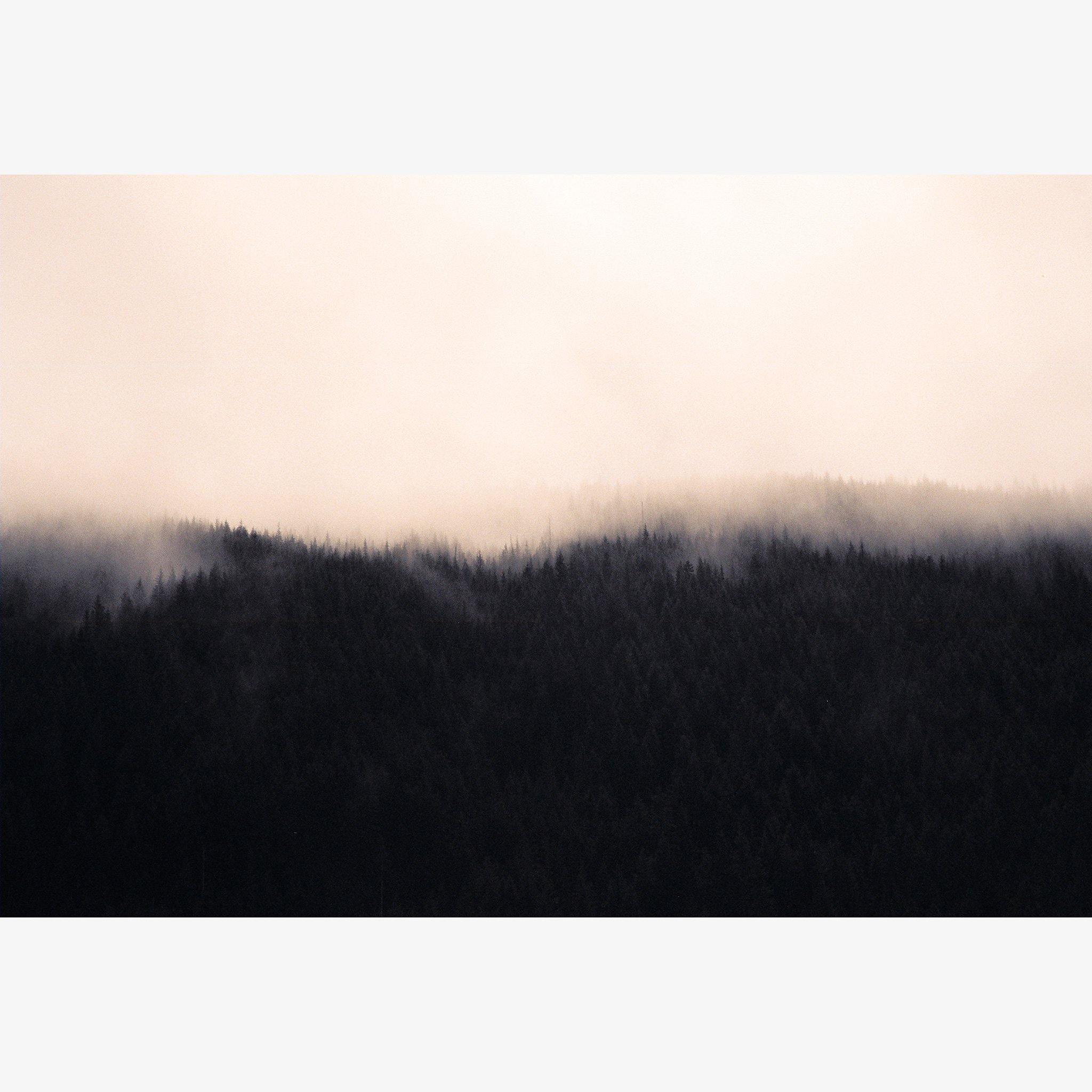 Mist 25 - Brian Merriam - Photograph - Tappan Collective