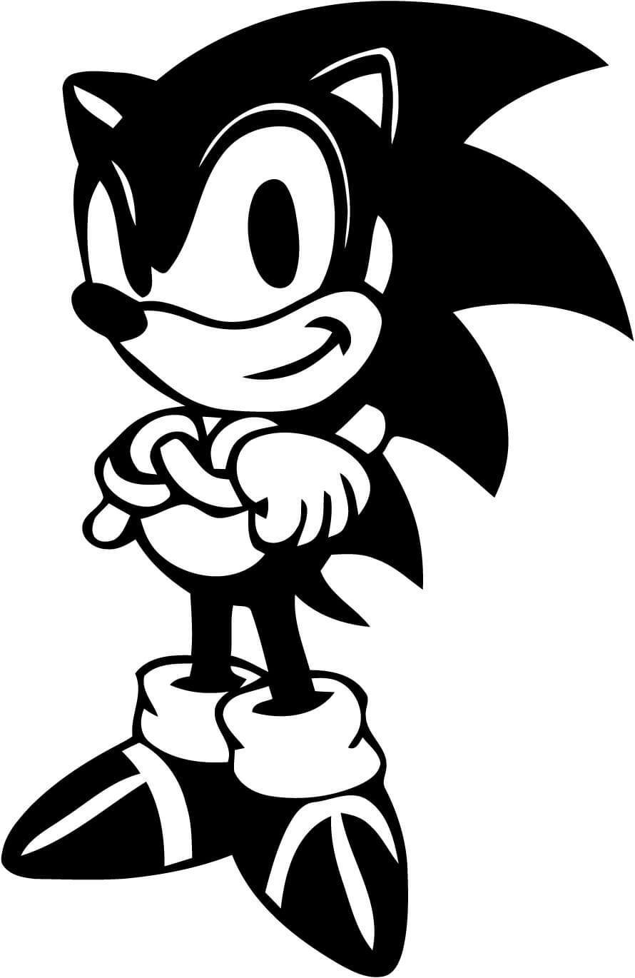 30 Ide Keren Gambar Kartun Sonic Hitam Putih The Toosh