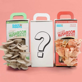 Mushroom Variety 3-Pack: Mystery Edition