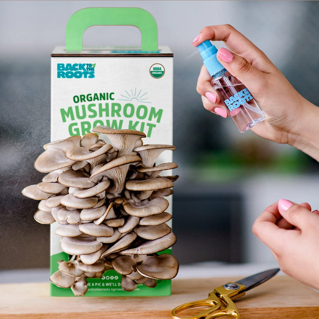 mushroom growing kit