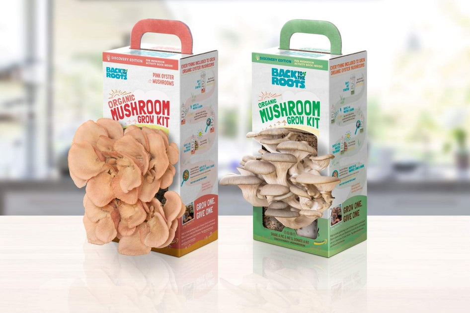 mushroom growing kit