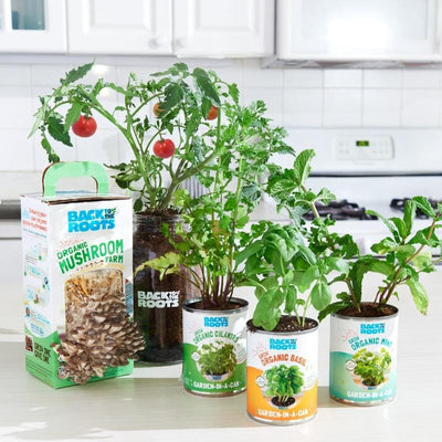 Back To The Roots Official Site Shop Gardening Gifts Grow Kits