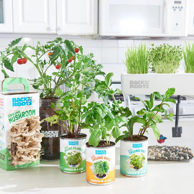 Back To The Roots Official Site Shop Gardening Gifts Grow Kits