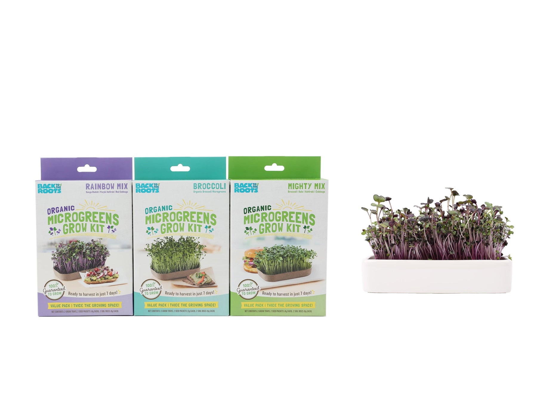 Microgreens Grow Kit with Ceramic Planter – Back to the Roots