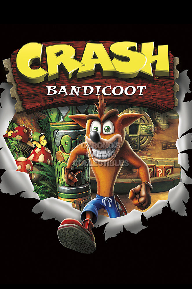 crash bandicoot ps2 for sale