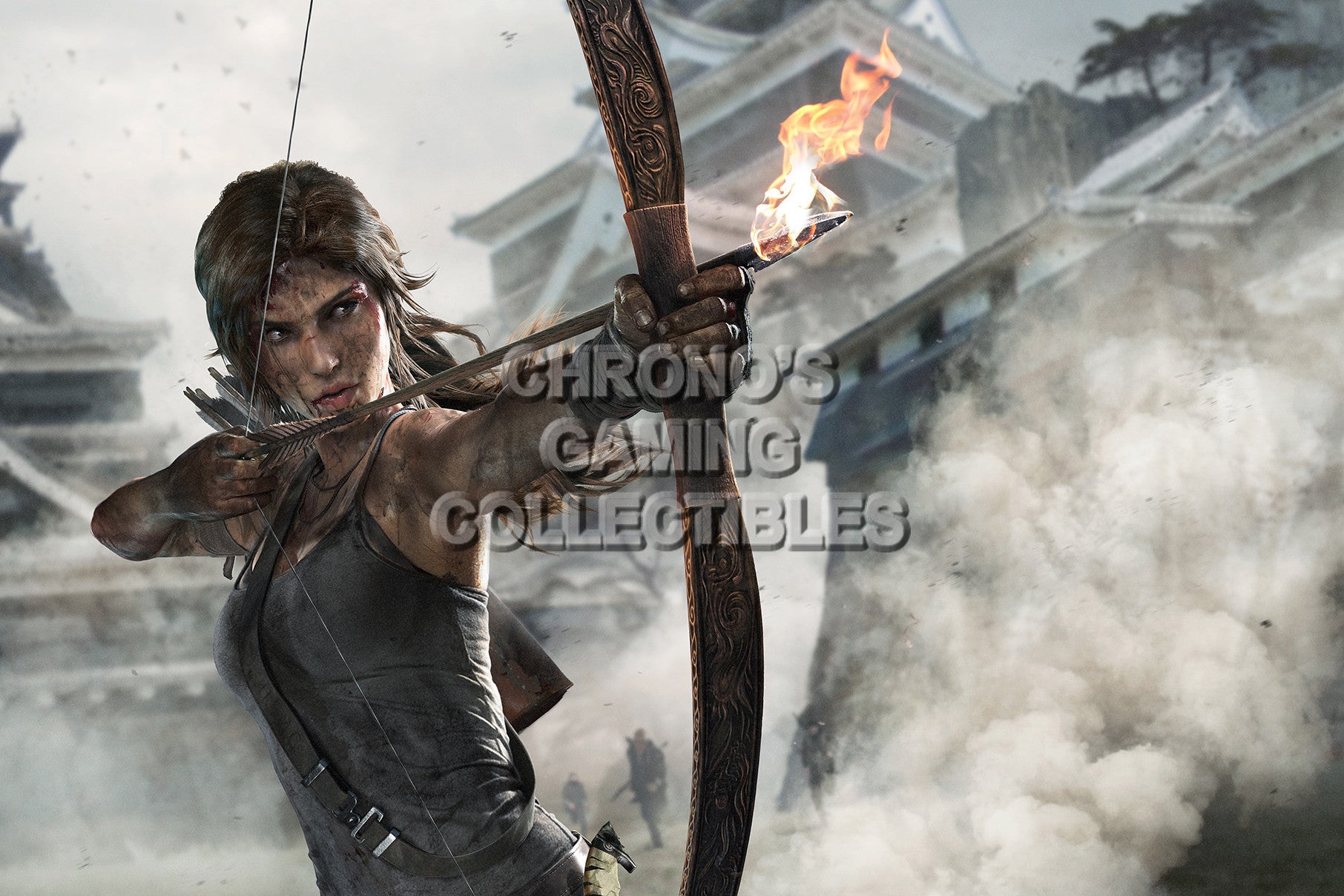 Tomb Raider Video Games Poster Cgcposters