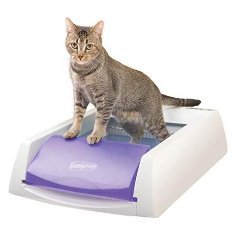 PetSafe ScoopFree Automatic Self Cleaning Cat Litter Box