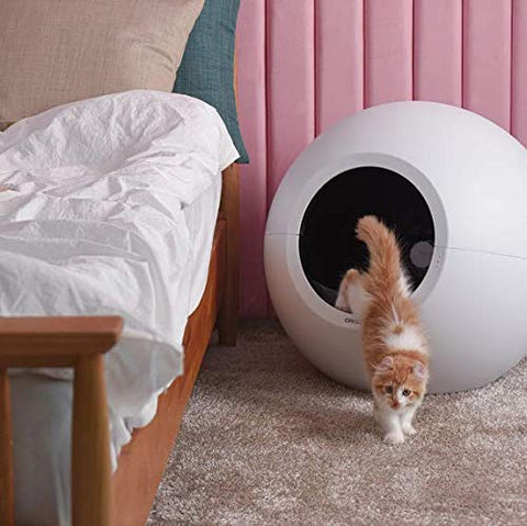 cat coming out of the litter robot