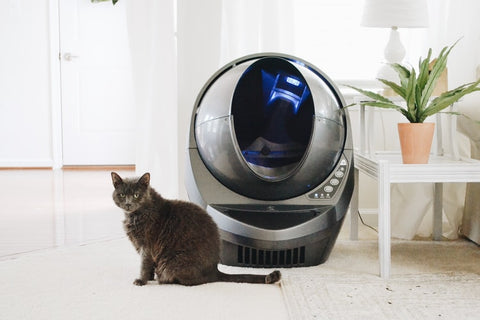 cat sitting beside grey litter robot