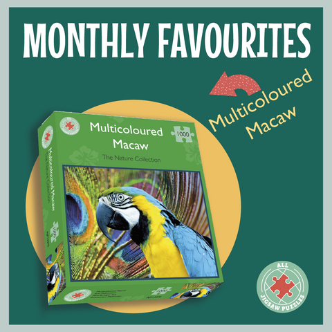 Multicoloured Macaw 1000 or 500 piece jigsaw puzzle