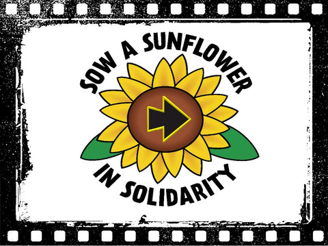 Sow a Sunflower of Solidarity 