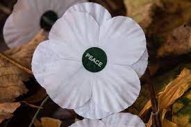 White Poppies