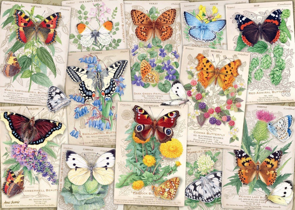 Butterfly Splendour 1000 Piece Jigsaw Puzzle