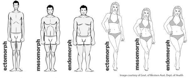 Main differences in men body types and shapes - Men's Skin Centres