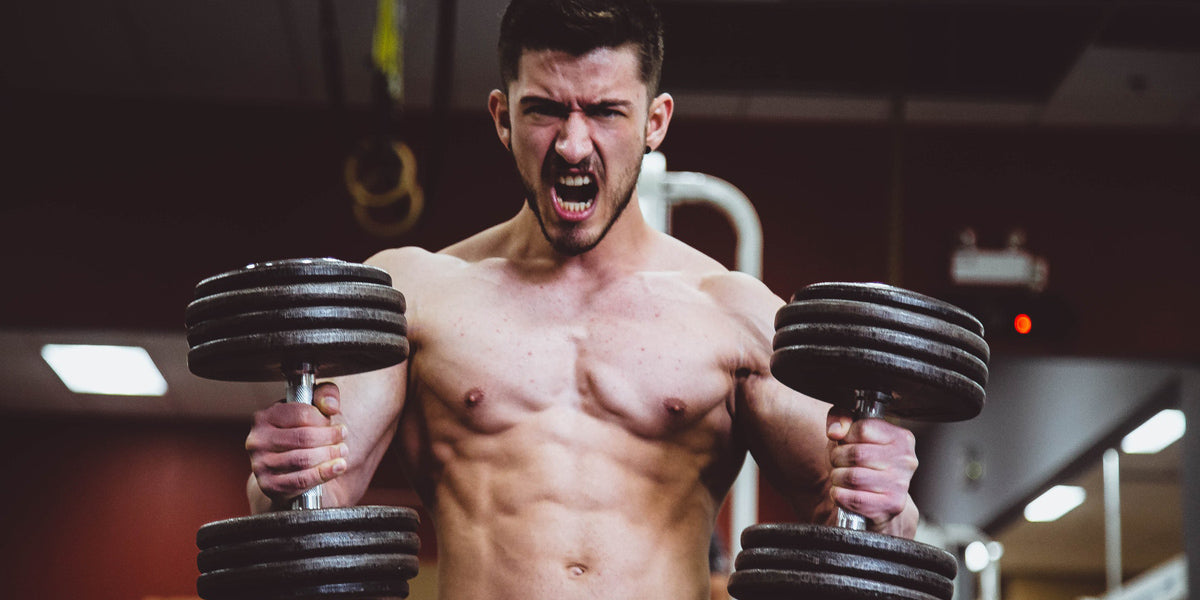 fria vikter vs maskiner träning gym styrketräning