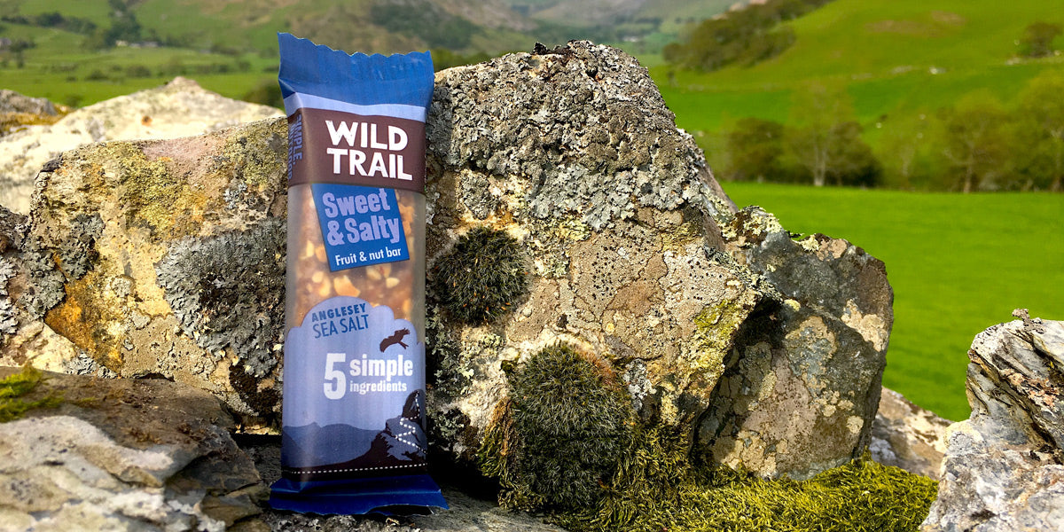 Healthy snack fruit and nut bar Wild Trail Brighter Foods Sundried review
