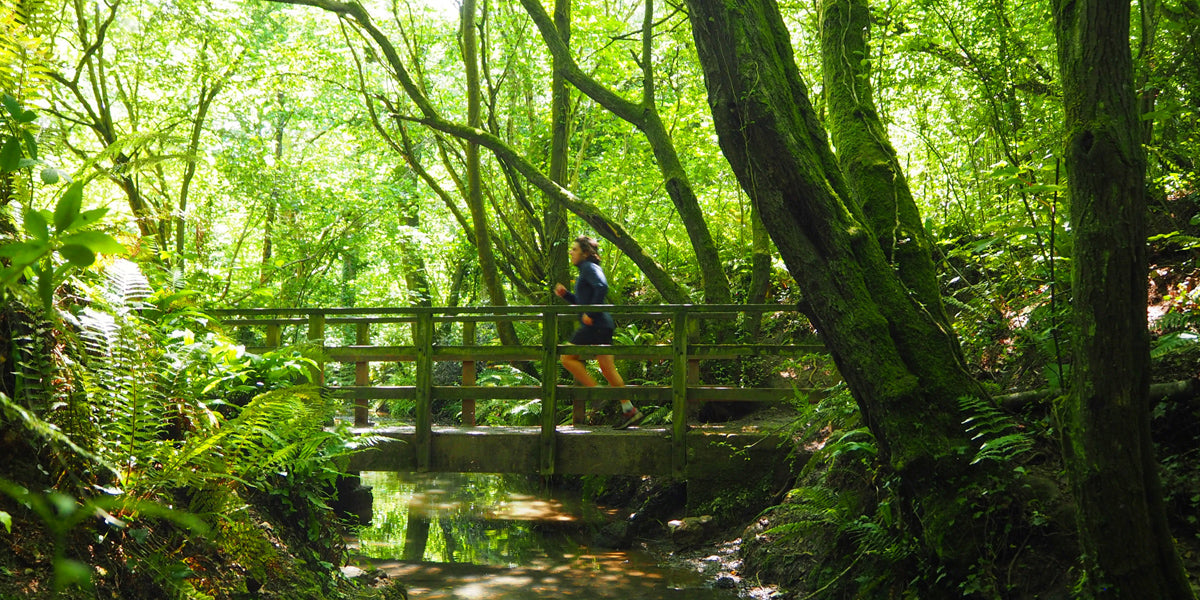 Running Bridge Outdoors Trees Forest