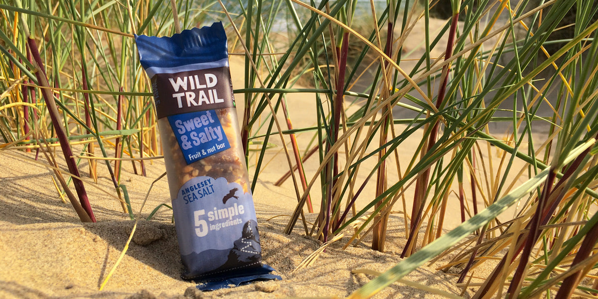 Wild Trail healthy nutrition adventure snack bar review Sundried