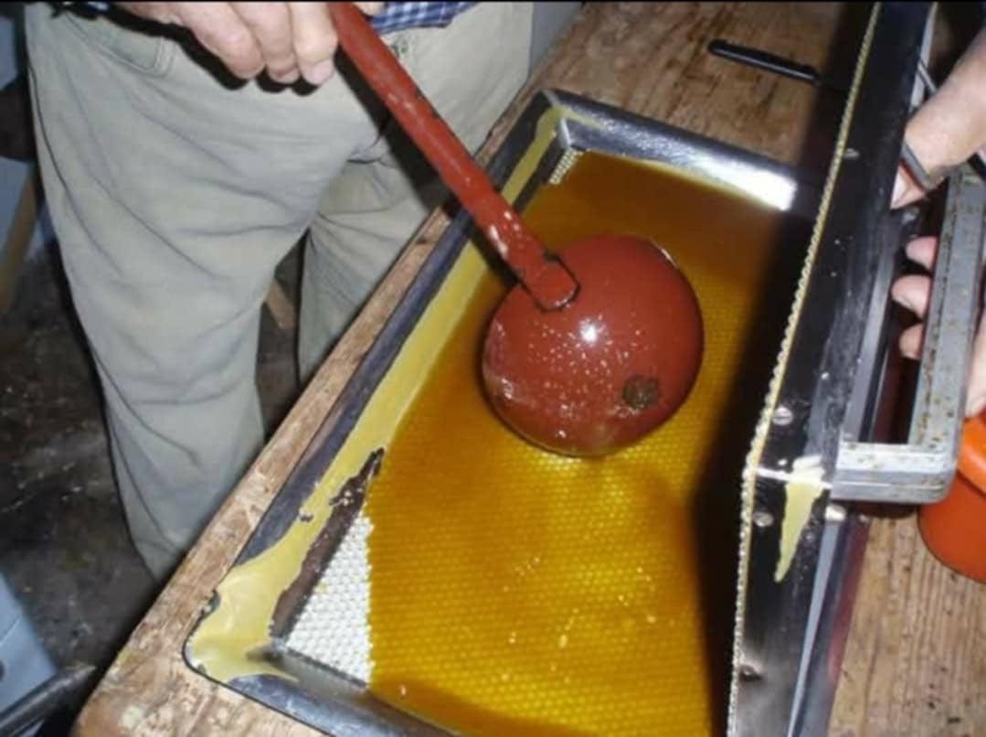 Producing honey