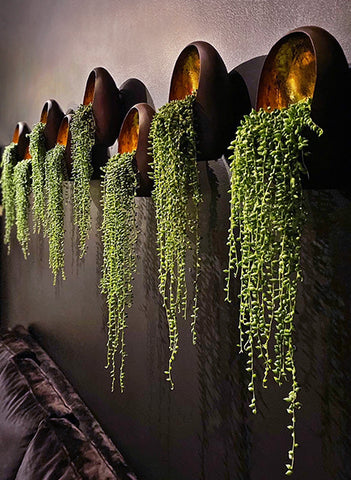 biophilic design installation by Susie Frazier featuring wall pods of living plants growing out of them