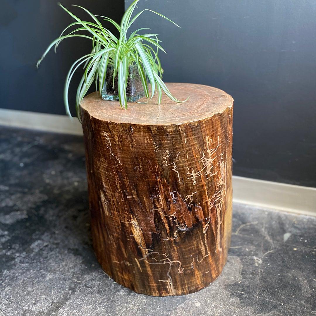 Log Stump Side Table Susie Frazier