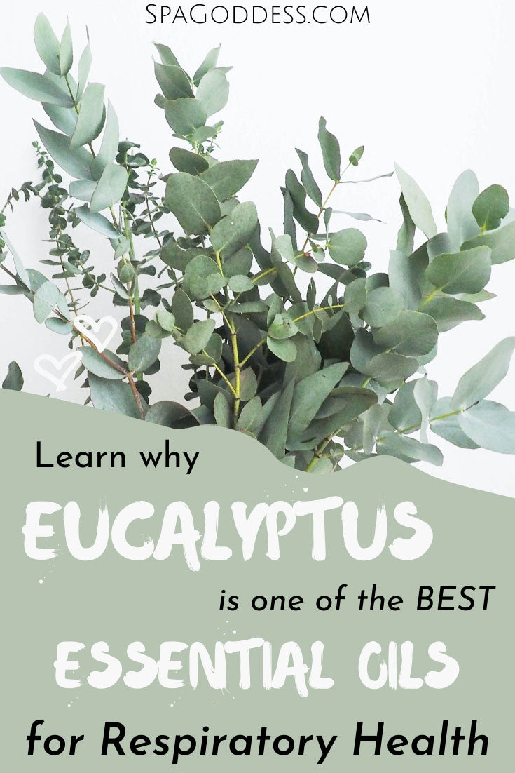 Eucalyptus Essential Oil The #1 Most Powerful Respiratory Healer