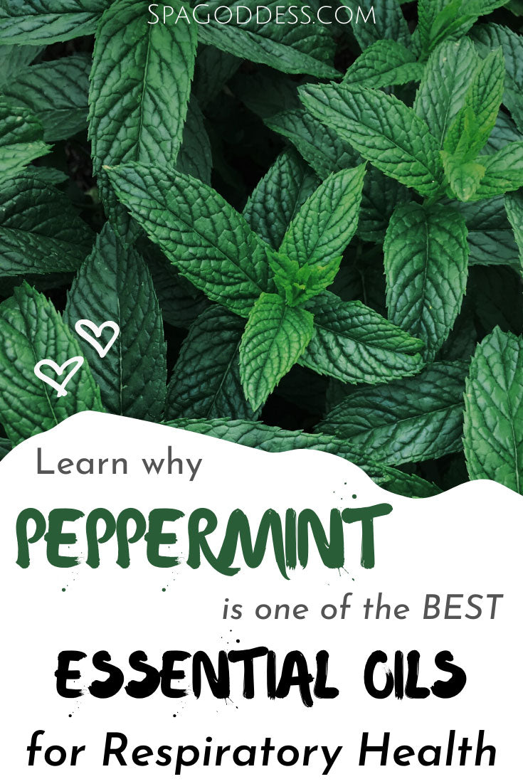 Learn why Peppermint is One of the Best Essential Oils for Respiratory Health on SpaGoddess Blog
