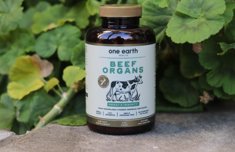 Beef organ supplement bottle by One Earth Health in front of a geranium bush, 100% organic and grass-fed