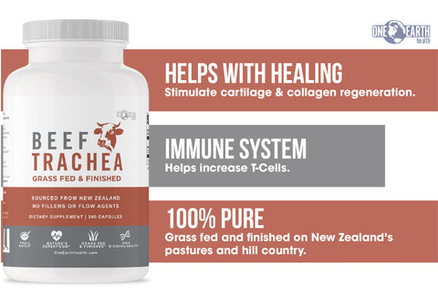 Beef trachea supplement helps with healing and boosts the immune system—Are beef organs a good source of minerals?