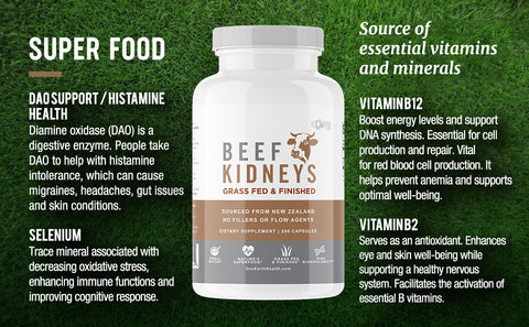 Beef kidney supplement, health benefits of bovine kidney, superfood in a capsule—Nutritional profile of beef organs