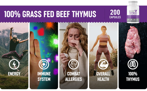 100% grass fed beef thymus supplement by One Earth Health, boosts energy, protects the immune system, fights allergies, and supports overall health