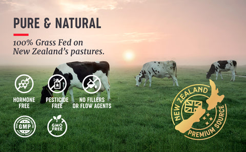 Pure and natural 100% grass-fed beef on New Zealand's pastures—Why is regenerative agriculture important?