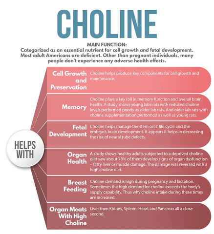 Main function and health benefits of choline—Nutritional profile of beef organs
