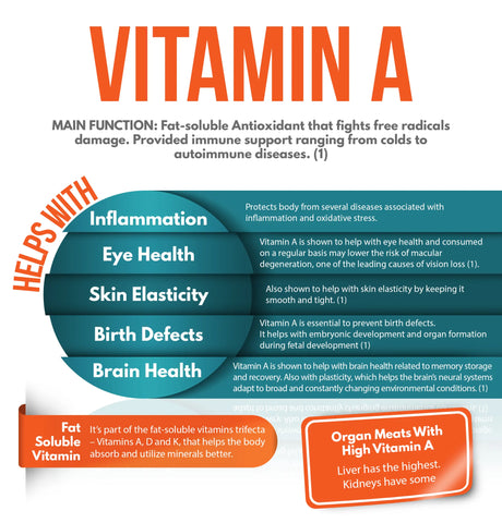 Main functions and health benefits of Vitamin A—Nutritional profile in organ meats—the ultimate guide to beef organs