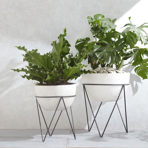 Iris Planter + Chevron Stand West Elm