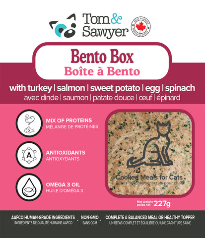 Bento Box cooked meal for cats