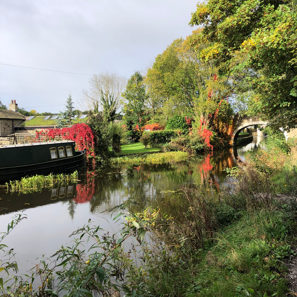 Dowley gap in autumn