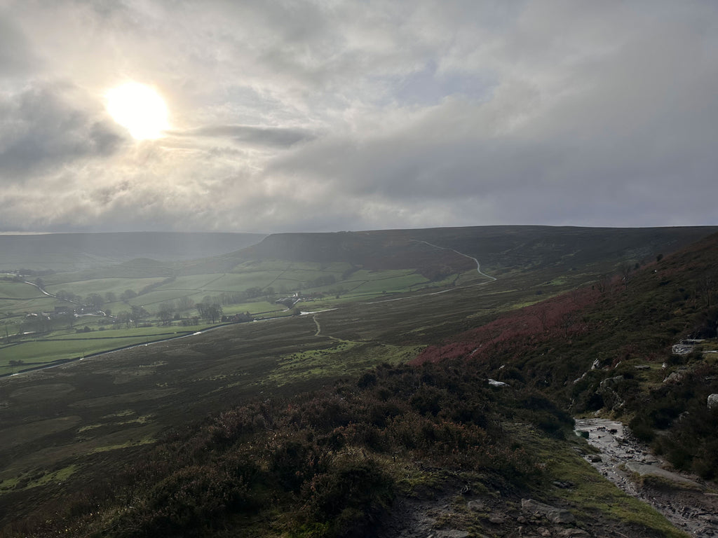 Little Fryup Dale from Danby Rigg by Paula Dunn Artist