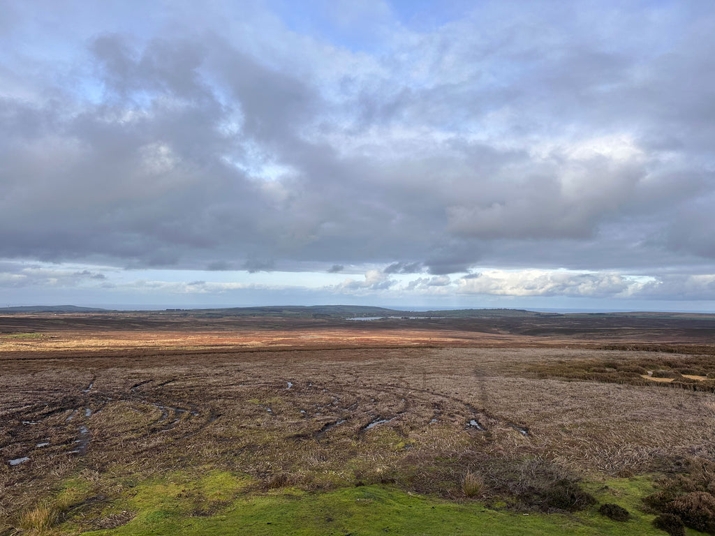 Danby beacon view by Paula Dunn Artist