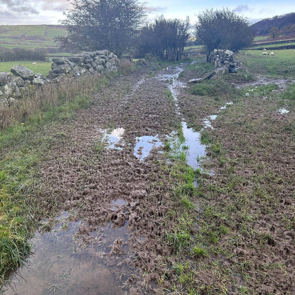 Mud city at Little Fryup Dale by Paula Dunn Artist