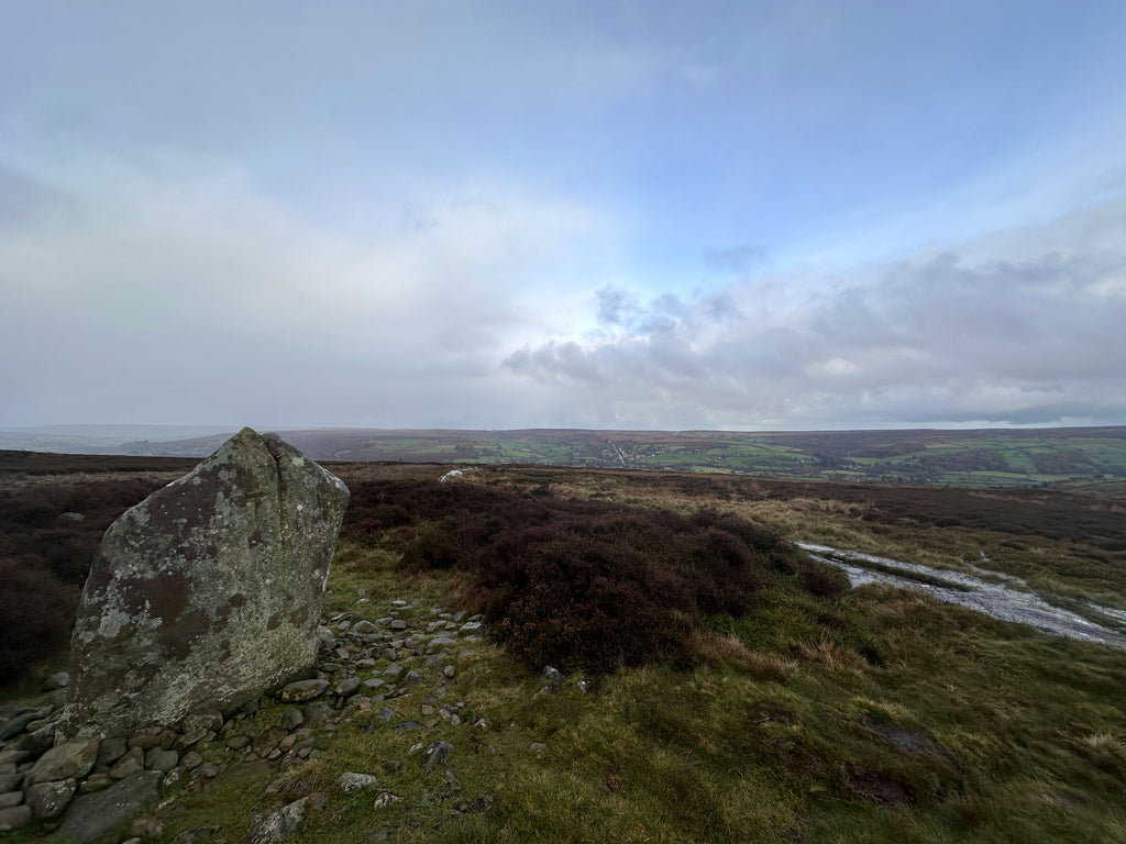 Standing stones on Danby Rigg by Paula Dunn Artist